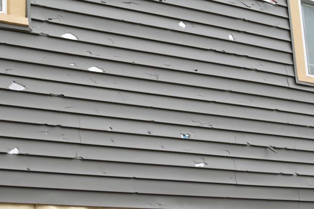 Best Custom Trim and Detailing for Siding  in Tigard, OR